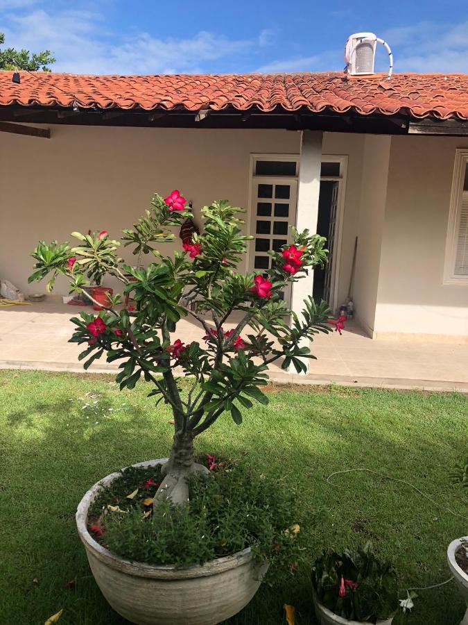 Caroa Piranhas Suites Luaran gambar